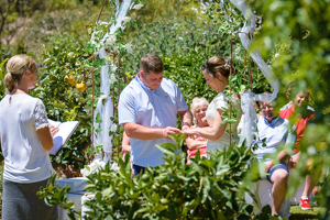 wedding ceremony in the spanish campo